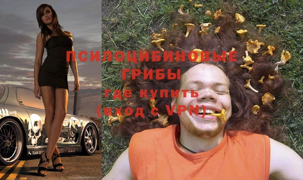 альфа пвп Пролетарск