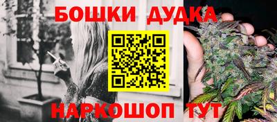 МДПВ Будённовск