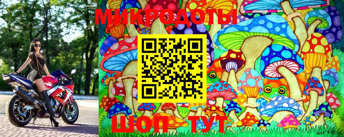 Псилоцибиновые грибы Magic Shrooms  Сердобск  Псилоцибиновые грибы прущие грибы 