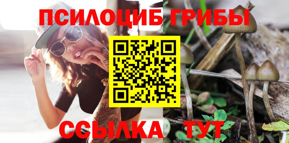 купить наркоту  Вход с VPN  Сердобск  Галлюциногенные грибы Cubensis 