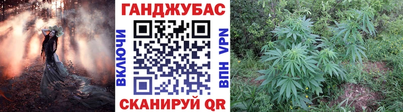Шишки марихуана THC 21%  наркошоп  Сердобск 